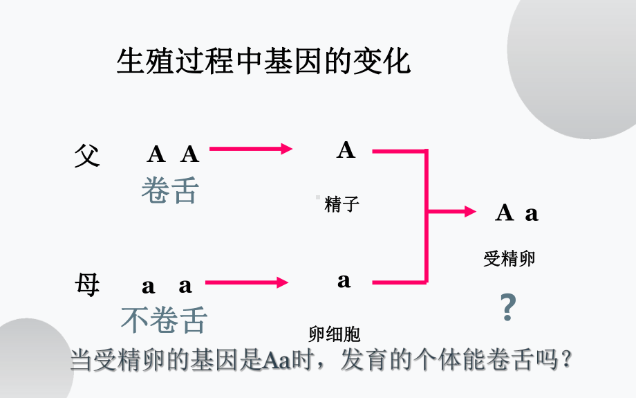 《基因的显性和隐性》优质课一等奖课件.pptx_第3页