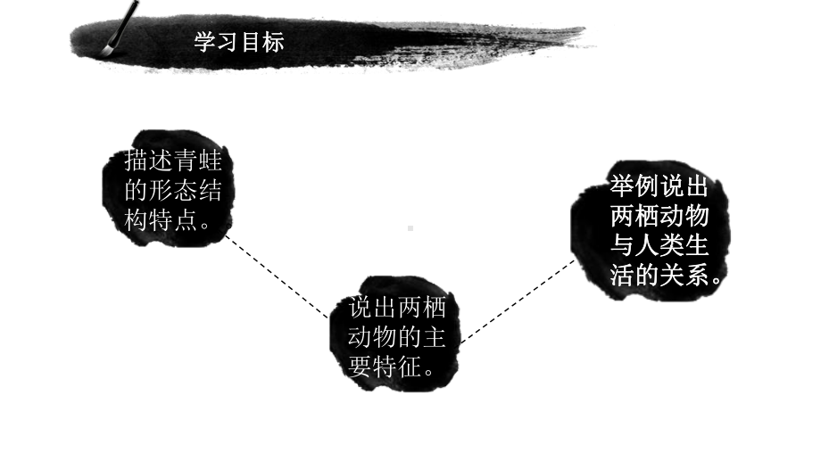 《两栖动物》公开课一等奖课件.pptx_第3页