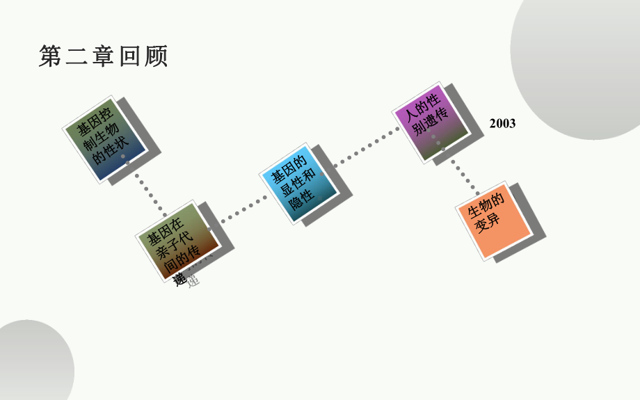 八年级生物下册第二章复习课课件.pptx_第3页