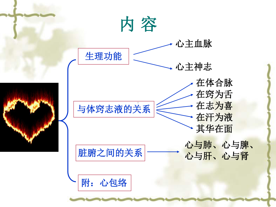 中医五脏心ppt课件.ppt_第2页