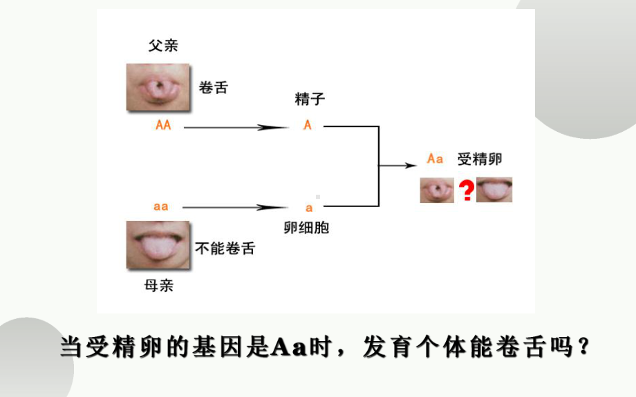 《基因的显性和隐性》公开课教学一等奖课件.pptx_第3页