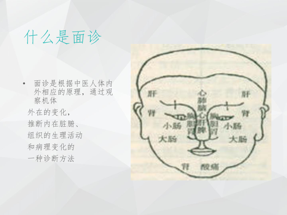 中医面诊ppt课件.ppt_第2页