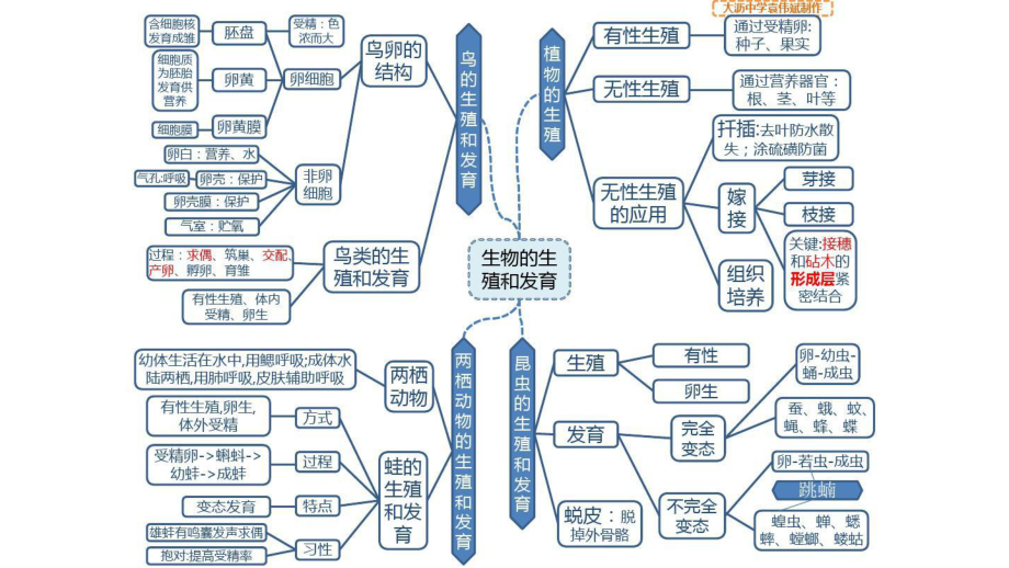 八年级生物下册思维导图.pptx_第2页