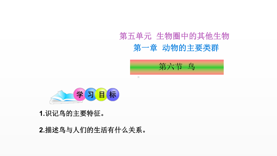 《鸟》公开课一等奖课件.pptx_第1页