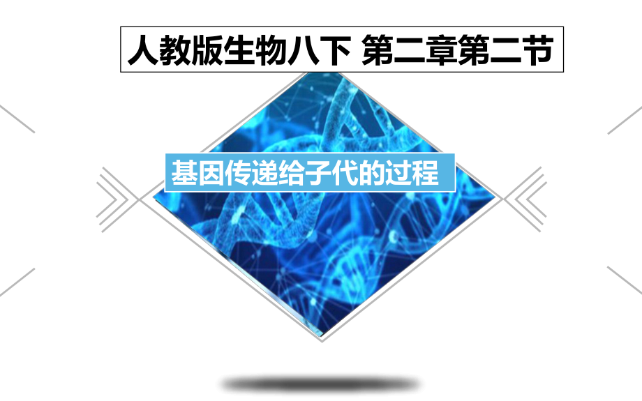 《基因传递给子代的过程》优课教学一等奖课件.pptx_第1页