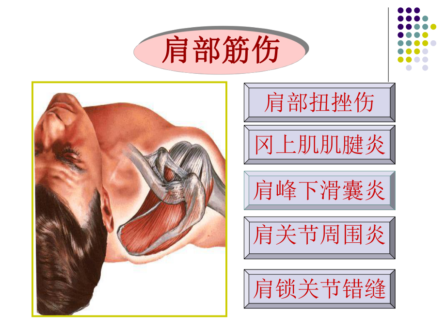 中医筋伤学精PPT课件.ppt_第3页