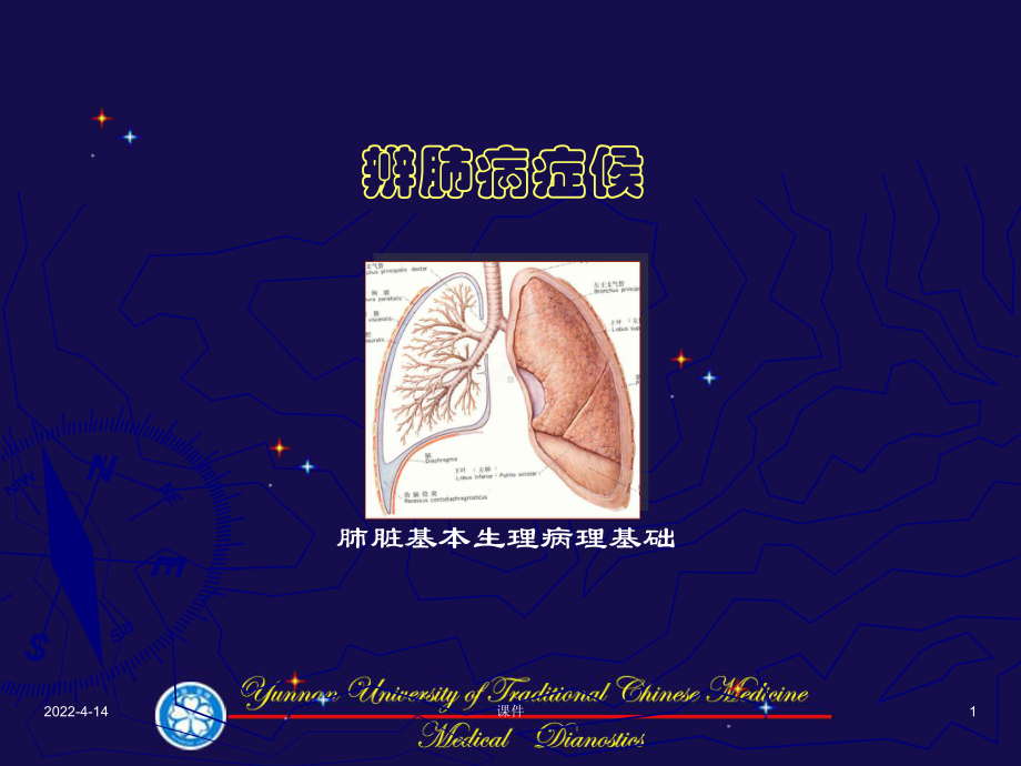 中医诊断学(全套课件224P).ppt_第1页