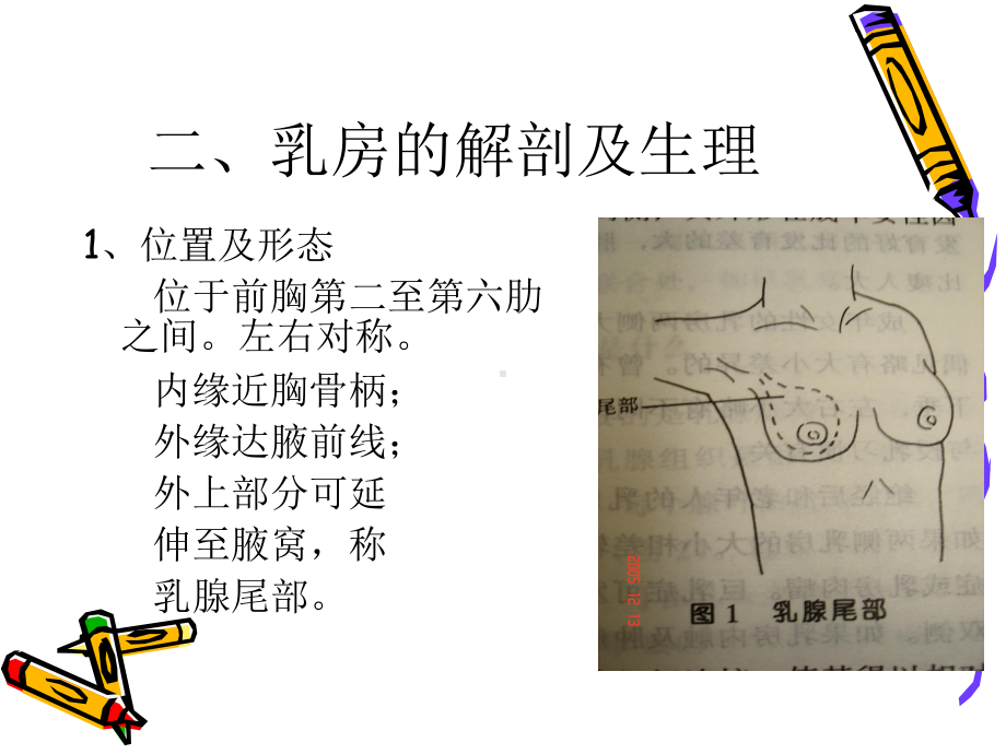 中医外科学-乳房疾病概述课件.ppt_第3页