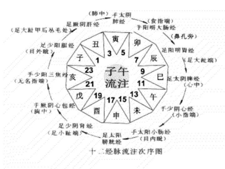 中医经络养生之十二时辰养生（精选）课件.ppt_第3页