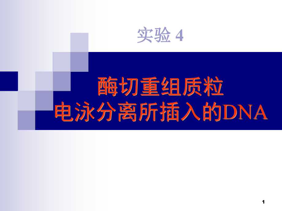 中医药大学分子生物学常用技术在中医药研究中的应用课件 酶切重组质粒电泳分离所插入的dna.ppt_第1页