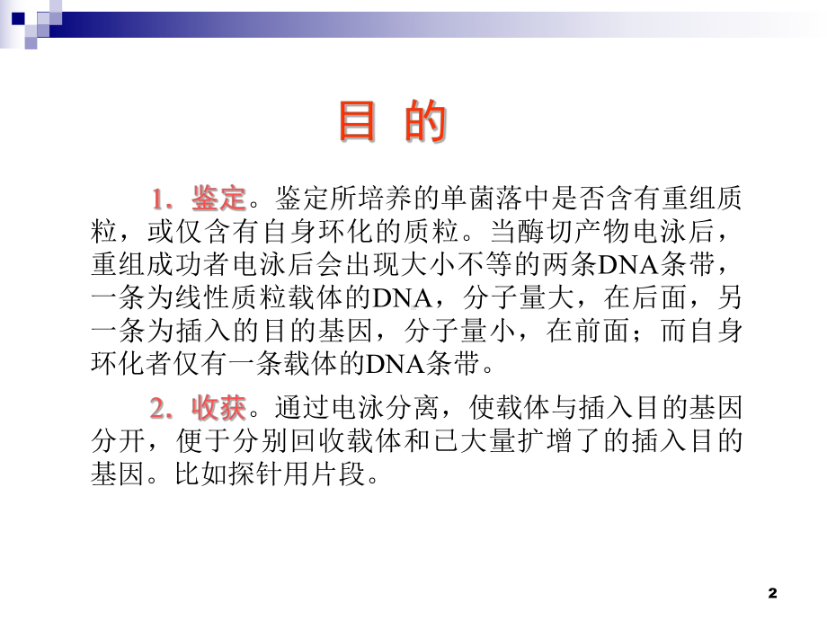 中医药大学分子生物学常用技术在中医药研究中的应用课件 酶切重组质粒电泳分离所插入的dna.ppt_第2页