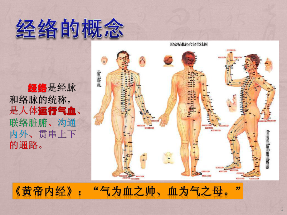 中医经络ppt课件.pptx_第3页