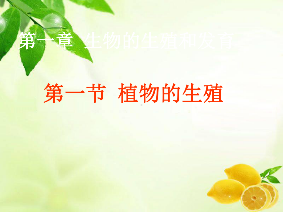 《植物的生殖》优质课一等奖课件.pptx.ppt_第2页