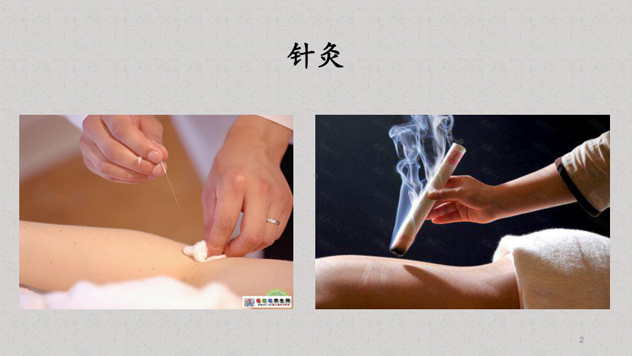 学习中医药PPT课件.ppt_第2页