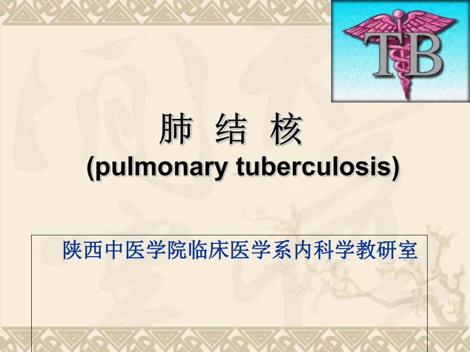 中医学院 内科学 肺结核修改ppt课件.ppt_第1页