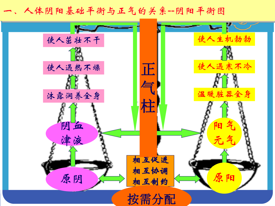 中医养生保健基础要略汇总课件.ppt_第3页