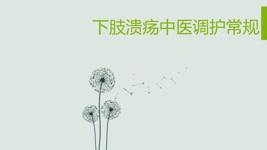 下肢溃疡中医调护常规-ppt课件.ppt_第1页