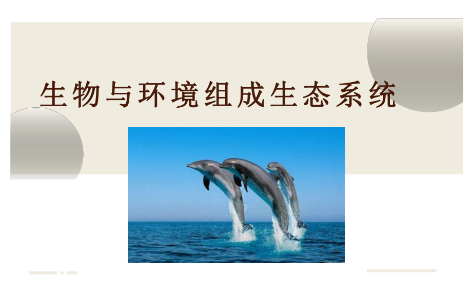 《生物与环境组成生态系统》优课课件.pptx_第1页