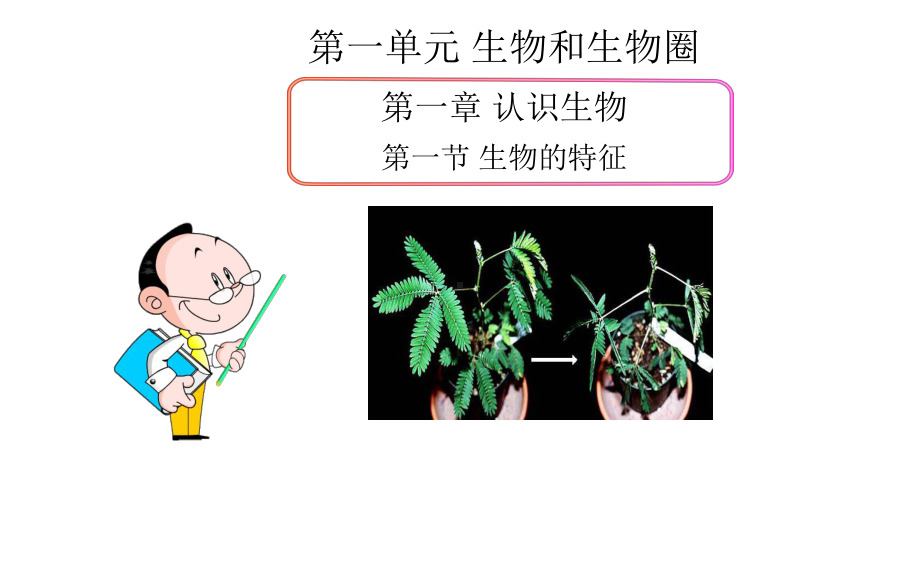 《生物的特征》优质课一等奖教学课件.pptx_第1页