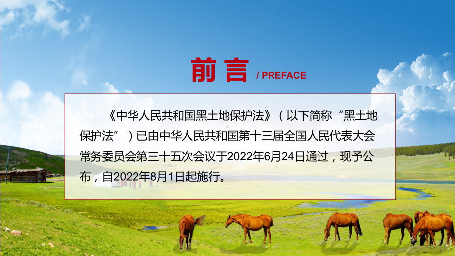 黑土地保护法详细解读2022年新颁布《中华人民共和国黑土地保护法》PPT宣讲课件.pptx_第2页