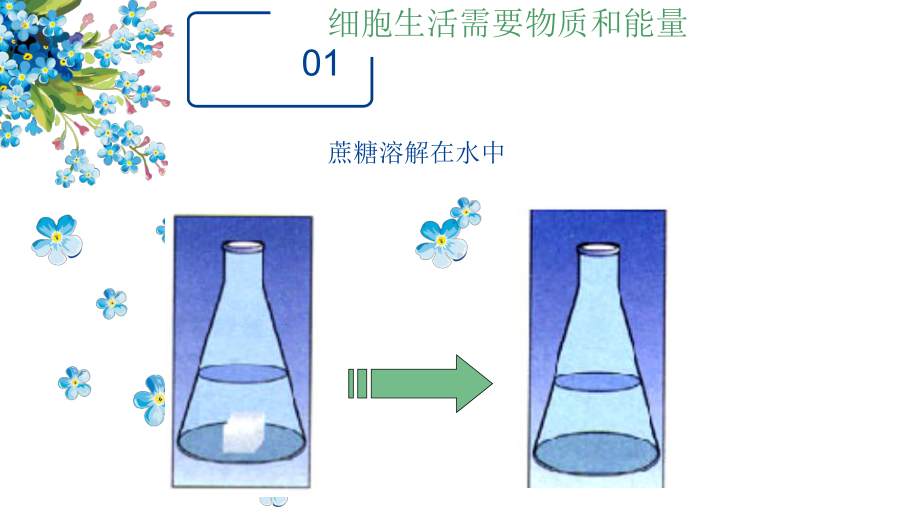 优课《细胞的生活》一等奖课件.pptx_第3页