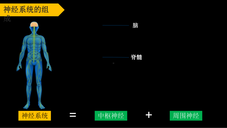 《反射的两种类型》优课一等奖课件.pptx_第2页