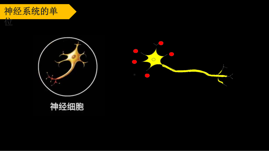 《反射的两种类型》优课一等奖课件.pptx_第3页