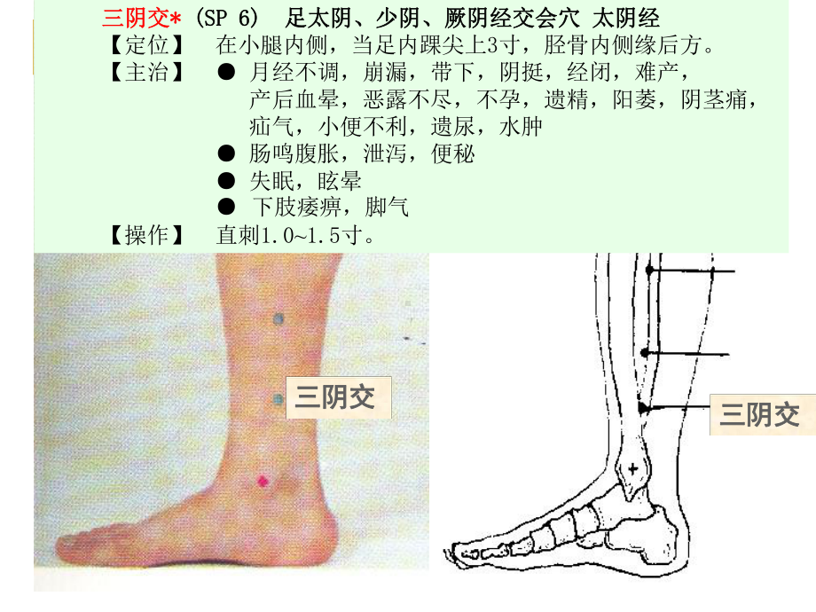 中医适宜技术之腧穴定稿课件.ppt_第2页