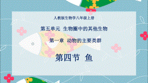 《鱼》公开课一等奖教学课件.pptx