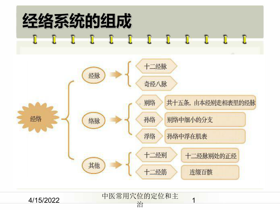 中医常用穴位的定位和主治课件.ppt_第1页