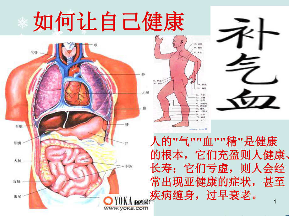 中医气血-ppt课件.ppt_第1页