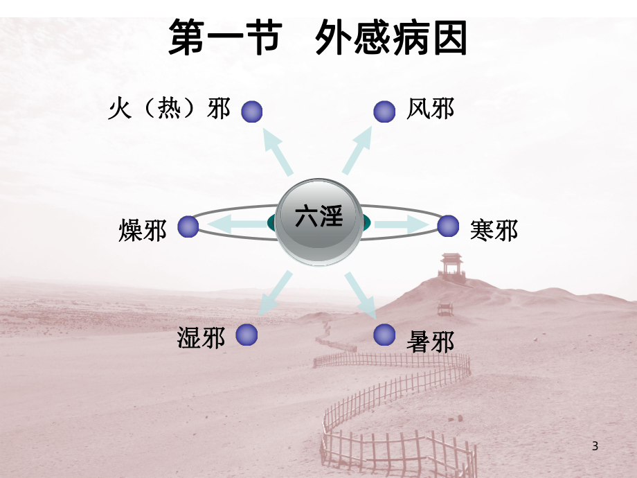 中医基础病因学说PPT课件.ppt_第3页