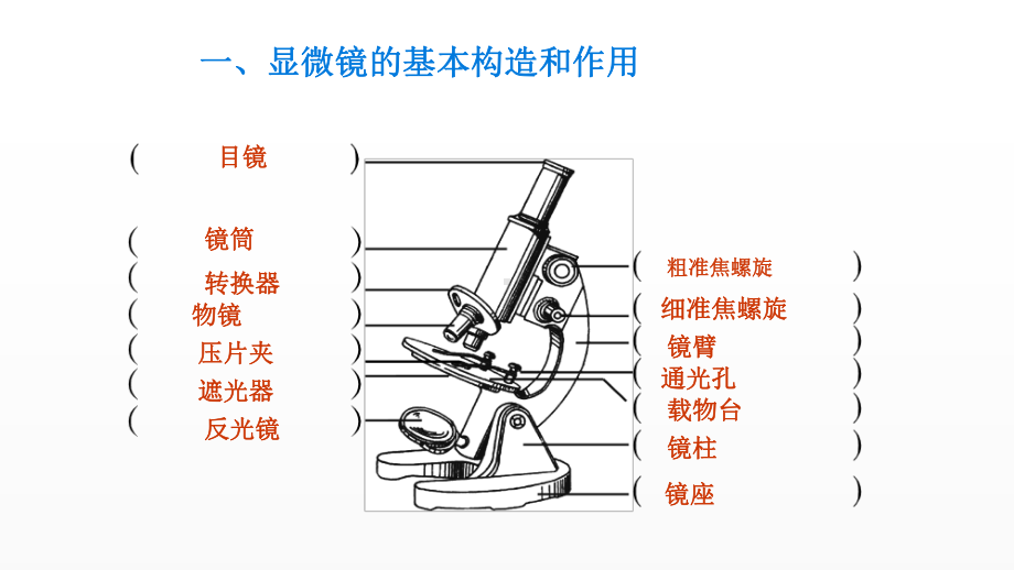 《细胞是生命活动的基本单位》优课一等奖课件.pptx_第3页