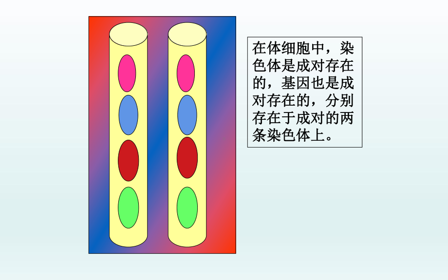 《基因的显性和隐形》优课一等奖课件.pptx_第2页