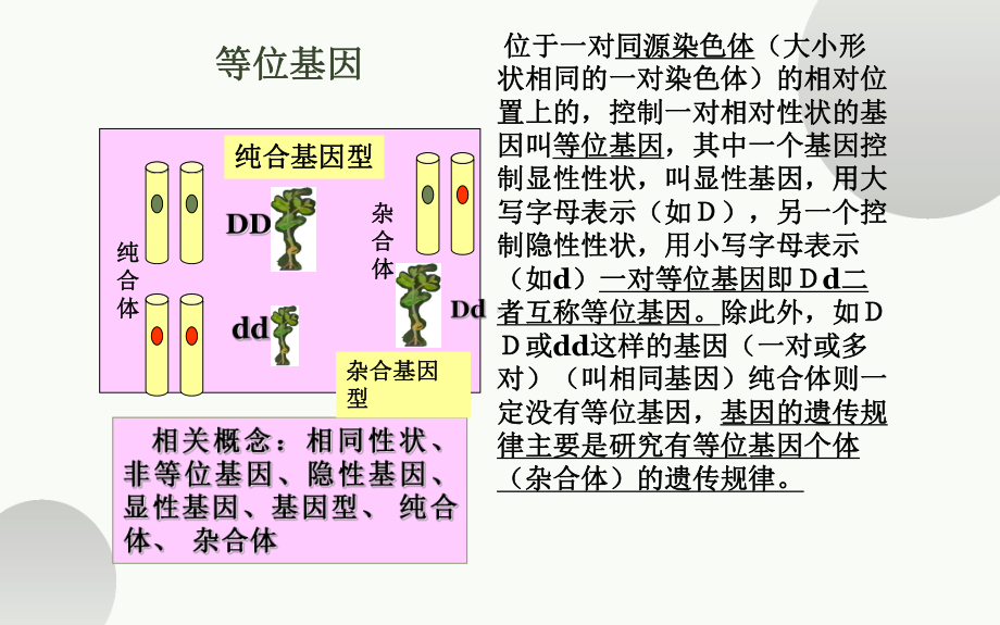 《基因的显性和隐形》优课一等奖课件.pptx_第3页