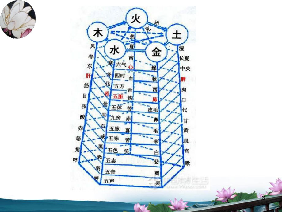 中医基础理论之五脏六腑医学PPT课件.ppt_第3页