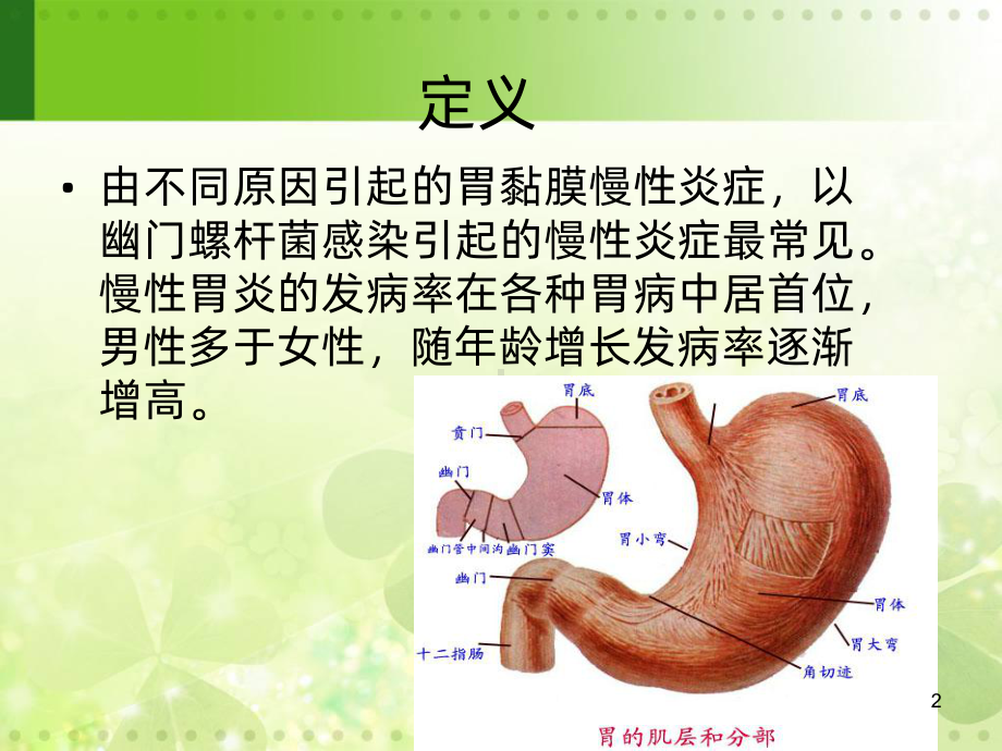 慢性胃炎的西医和中医护理PPT课件.ppt_第2页