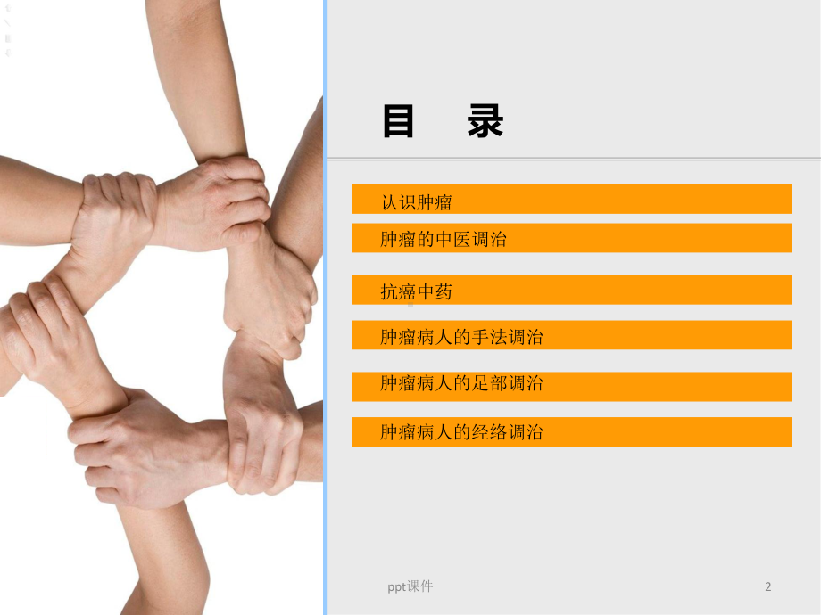 肿瘤患者的中医调补-ppt课件.ppt_第2页