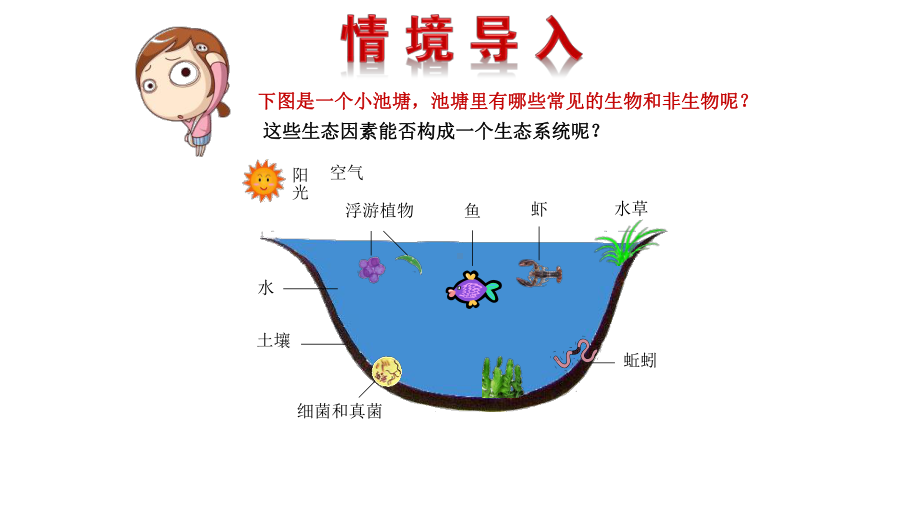 《生态系统的组成和类型》优课一等奖课件.pptx_第1页