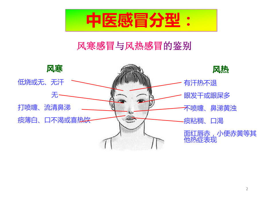 感冒中医治疗PPT课件.ppt_第2页