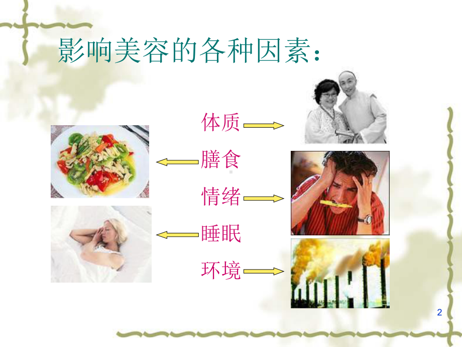 中医美容基础PPT课件.ppt_第3页