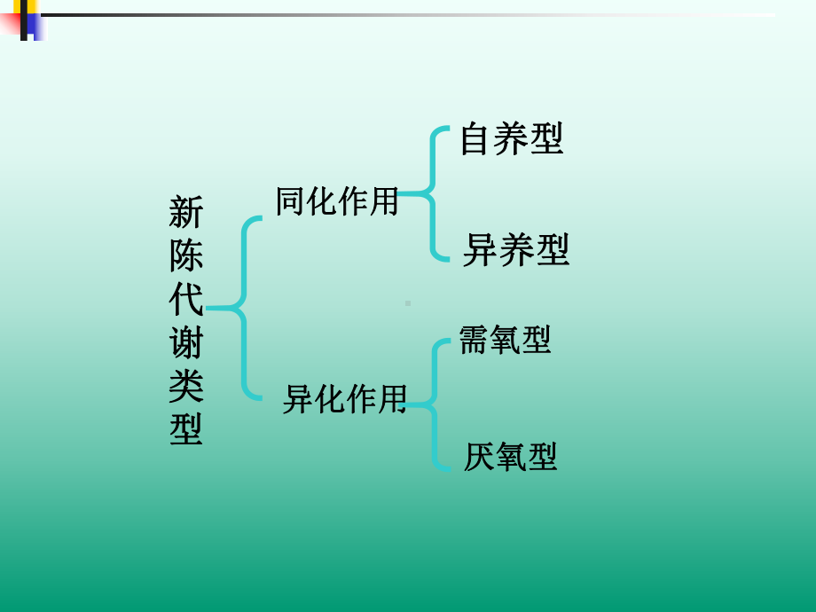 高中生物PPT课件光合作用(1).ppt_第3页