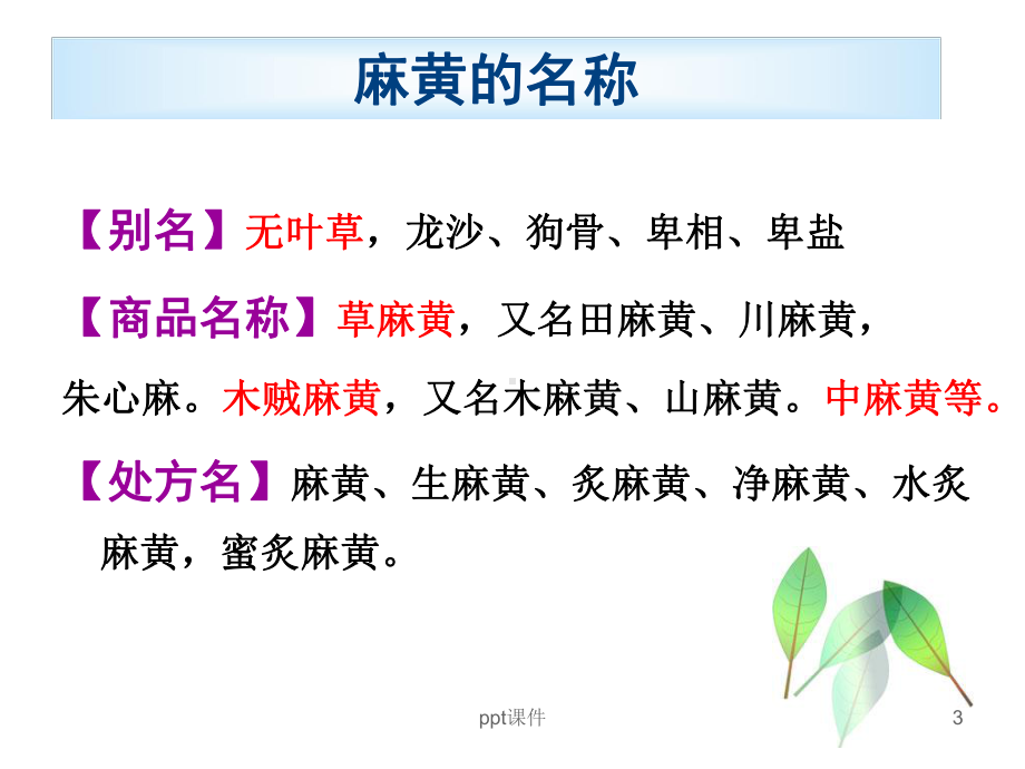 麻黄鉴别-ppt课件.ppt_第3页