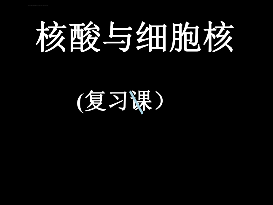 核酸和细胞核复习课课件.ppt_第1页