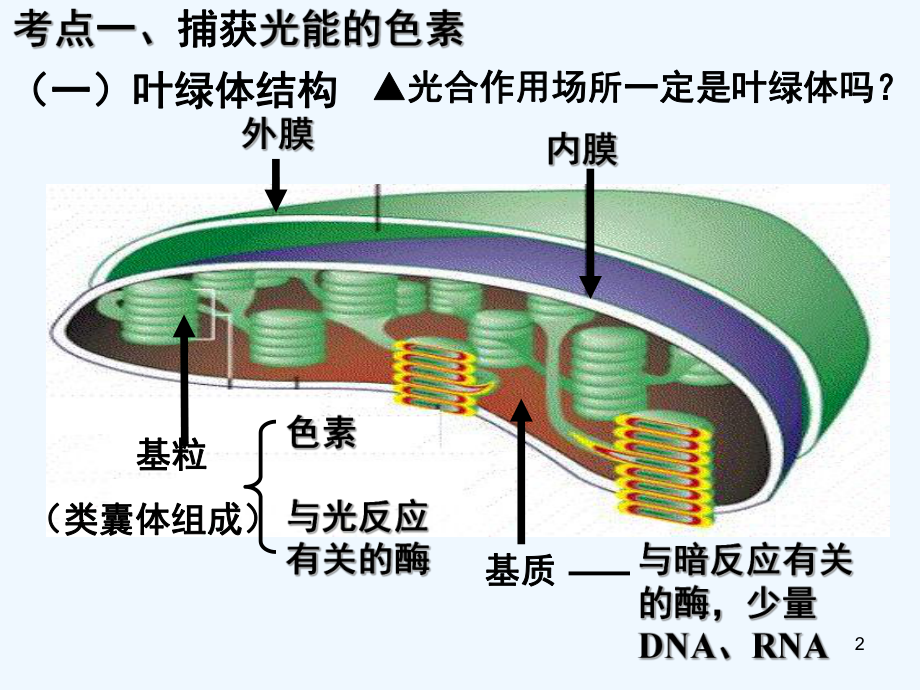 高三一轮复习光合作用-PPT课件.ppt_第2页