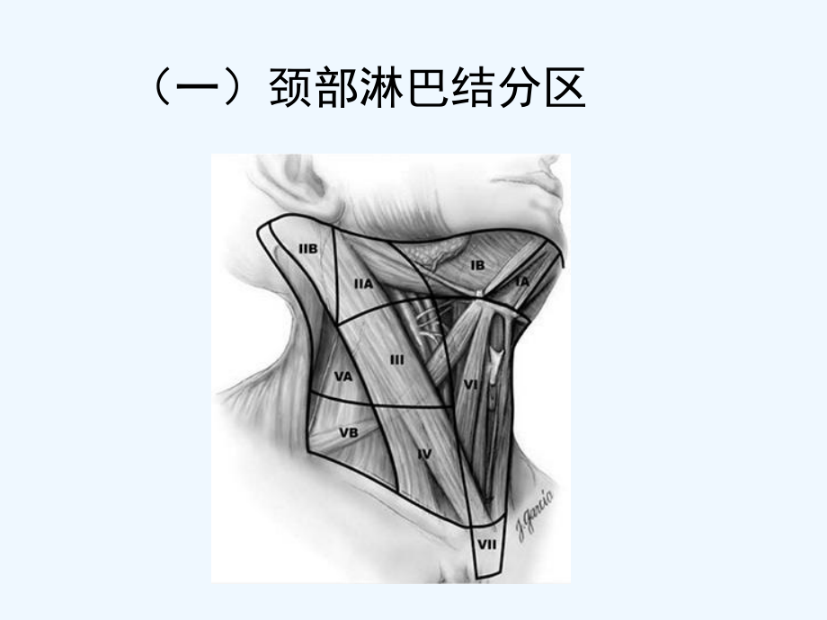 浅表淋巴结超声诊断ppt课件ppt