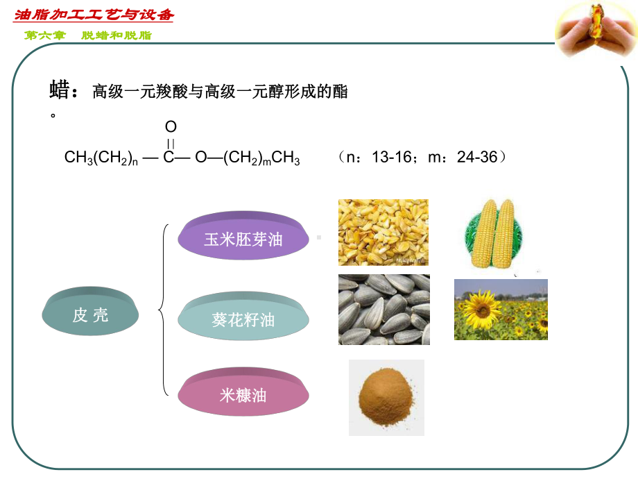 油脂加工工艺与设备课件.pptx_第1页