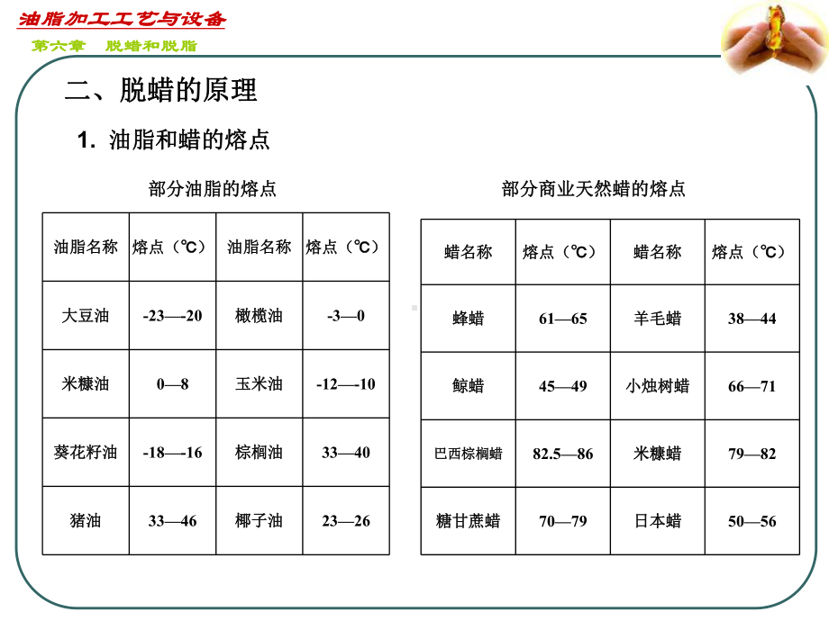 油脂加工工艺与设备课件.pptx_第3页