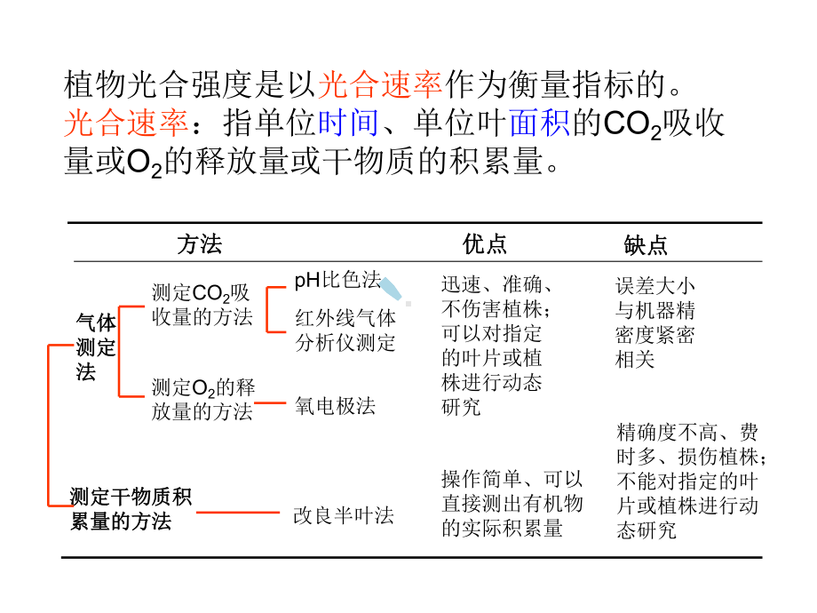 植物光合强度的测定课件.ppt_第3页