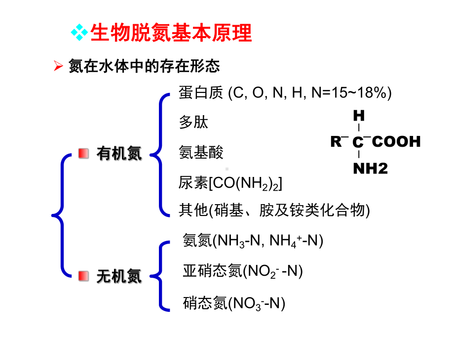 污水脱氮除磷的原理与工艺设计课件.pptx_第2页